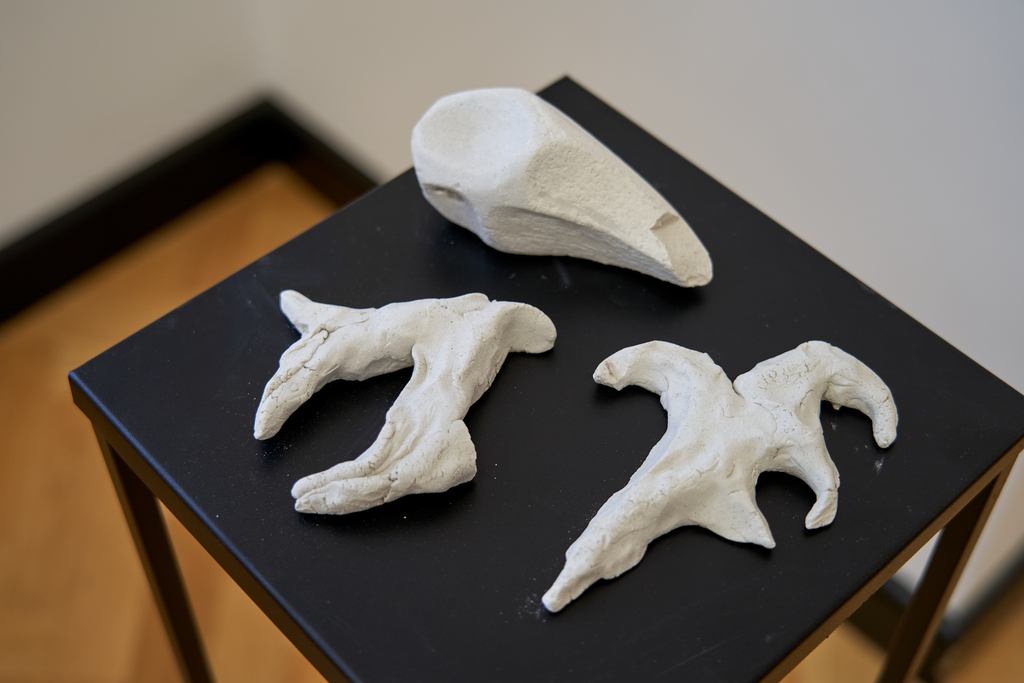 Zdjęcie z wystawy w ACD Jarek Darnowski